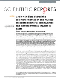 Grain-Rich Diets Altered the Colonic Fermentation and Mucosa-Associated Bacterial Communities and Induced Mucosal Injuries in Goats