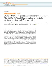 SNX3-Retromer Requires an Evolutionary Conserved MON2:DOPEY2:ATP9A Complex to Mediate Wntless Sorting and Wnt Secretion