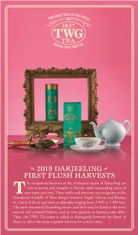 2019 Darjeeling First Flush Harvests
