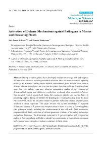 Activation of Defense Mechanisms Against Pathogens in Mosses and Flowering Plants