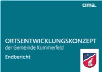 Bearbeitung & Gestaltung