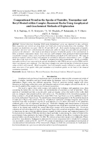 Compositional Trend in the Specks of Tantalite, Tourmaline and Beryl Hosted Within Complex Basement Rocks Using Geophysical and Geochemical Methods of Exploration