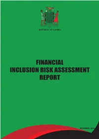 Financial Inclusion Risk Assessment Report