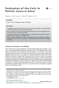 Evaluation of the Colic in Horses: Decision for Referral