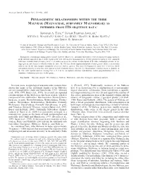 Malvaceae, Subfamily Malvoideae) As Inferred from Its Sequence Data1