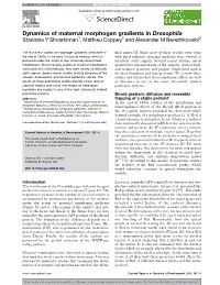 Dynamics of Maternal Morphogen Gradients in Drosophila Stanislav Y Shvartsman1, Mathieu Coppey1 and Alexander M Berezhkovskii2
