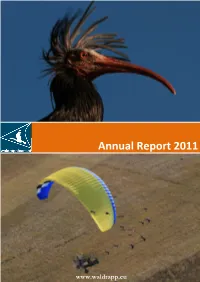 Annual Report 2011