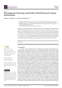 Development, Diversity and Death of MGE-Derived Cortical Interneurons