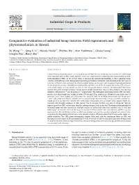 Comparative Evaluation of Industrial Hemp Varieties: Field Experiments and Phytoremediation in Hawaii