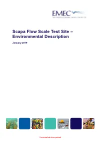 Scapa Flow Scale Site Environmental Description 2019