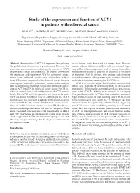Study of the Expression and Function of ACY1 in Patients with Colorectal Cancer
