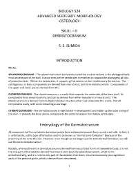 Skull – Ii Dermatocranium