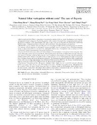 Natural Foliar Variegation Without Costs? the Case of Begonia