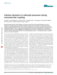 Calcium Dynamics in Astrocyte Processes During Neurovascular Coupling