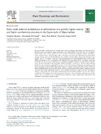 Nitric Oxide Induced Modulations in Adventitious Root Growth, Lignin Content and Lignin Synthesizing Enzymes in the Hypocotyls of Vigna Radiata T