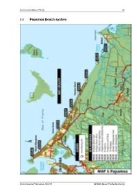 Papamoa Beach System
