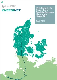 Pre-Feasibility Study for a Danish-German Hydrogen Network