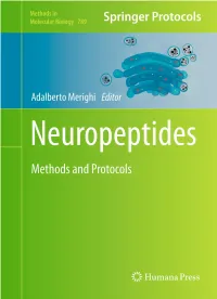 Sized Neuropeptides