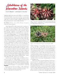 Stinkhorns of the Ns of the Hawaiian Isl Aiian Isl Aiian Islands