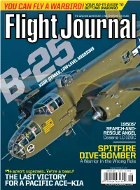 You Can Fly a Warbird!Your Go-To Guide To