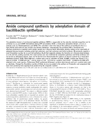Amide Compound Synthesis by Adenylation Domain of Bacillibactin Synthetase