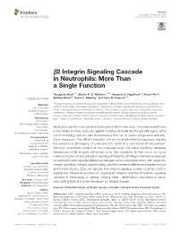 B2 Integrin Signaling Cascade in Neutrophils: More Than a Single Function