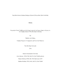 Decellularization to Produce Biological Synovial Extracellular Matrix Scaffolds THESIS Presented in Partial Fulfillment of the R