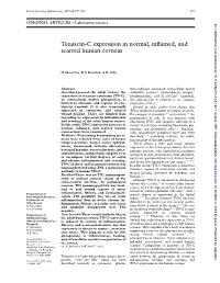 Tenascin-C Expression in Normal, Inflamed, and Scarred Human Corneas