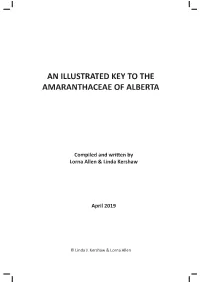 An Illustrated Key to the Amaranthaceae of Alberta
