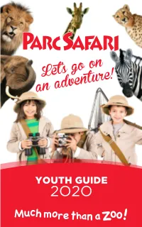 Let's Go on an Adventure!