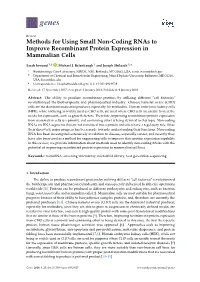 Methods for Using Small Non-Coding Rnas to Improve Recombinant Protein Expression in Mammalian Cells