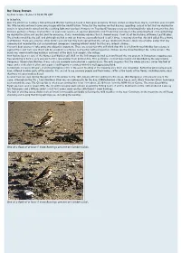 Re: Dave Brown by Dave Brown, 15-Jan-14 08:26 PM GMT
