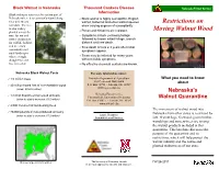 Restrictions on Moving Walnut Wood
