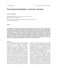 Transcriptional Regulation: a Genomic Overview
