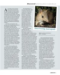 Discovering Marsupials Snout, and Enlarged Front Legs
