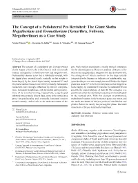 The Concept of a Pedolateral Pes Revisited: the Giant Sloths Megatherium and Eremotherium (Xenarthra, Folivora, Megatheriinae) As a Case Study