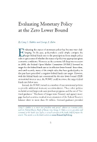 Evaluating Monetary Policy at the Zero Lower Bound