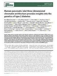 Human Pancreatic Islet Three-Dimensional Chromatin Architecture Provides Insights Into the Genetics of Type 2 Diabetes