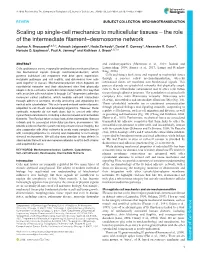 Scaling up Single-Cell Mechanics to Multicellular Tissues – the Role of the Intermediate Filament–Desmosome Network Joshua A