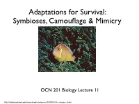 Adaptations for Survival: Symbioses, Camouflage & Mimicry