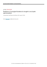 Resilience of Ecological Functions to Drought in an Oil Palm Agroecosystem