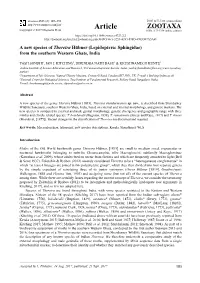 A New Species of Theretra Hübner (Lepidoptera: Sphingidae) from the Southern Western Ghats, India