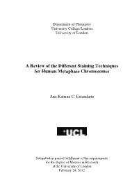 A Review of the Different Staining Techniques for Human Metaphase Chromosomes