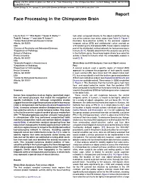 Face Processing in the Chimpanzee Brain