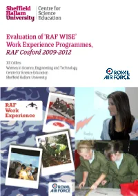 Final RAF Report 2013.Pdf