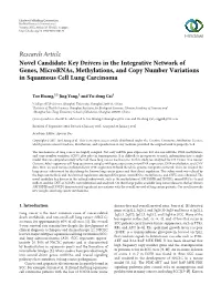 Novel Candidate Key Drivers in the Integrative Network of Genes, Micrornas, Methylations, and Copy Number Variations in Squamous Cell Lung Carcinoma