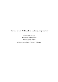 Skeleta in Non-Archimedean and Tropical Geometry