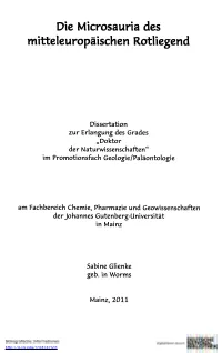 Die Microsauria Des Mitteleuropäischen Rotliegend
