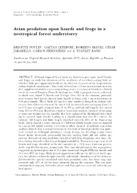 Avian Predation Upon Lizards and Frogs in a Neotropical Forest Understorey