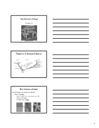 Fungi Are in Domain Eukarya Key Features of Fungi